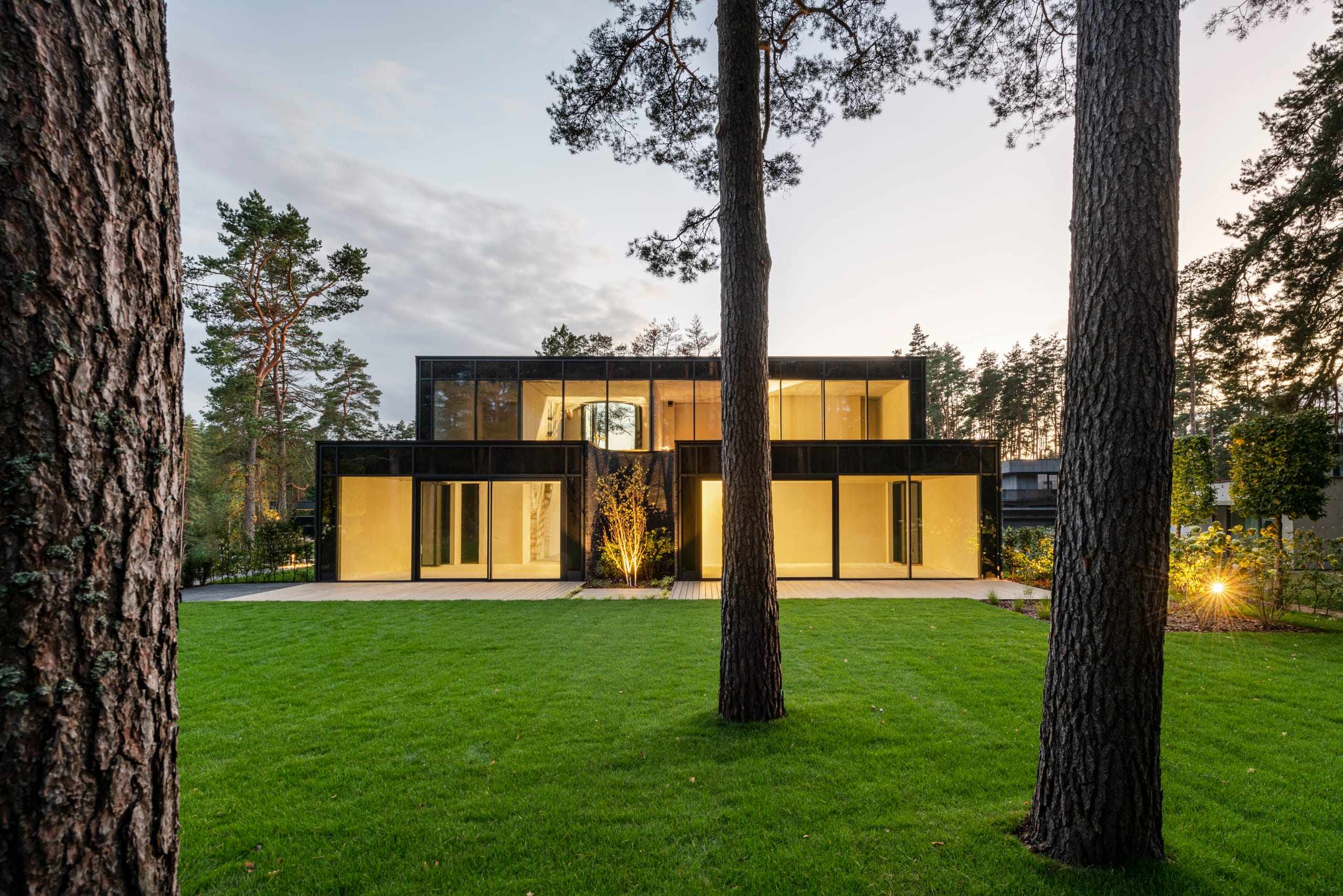 IN JAN House — glowing at dusk, framed by the trunks of surrounding pines