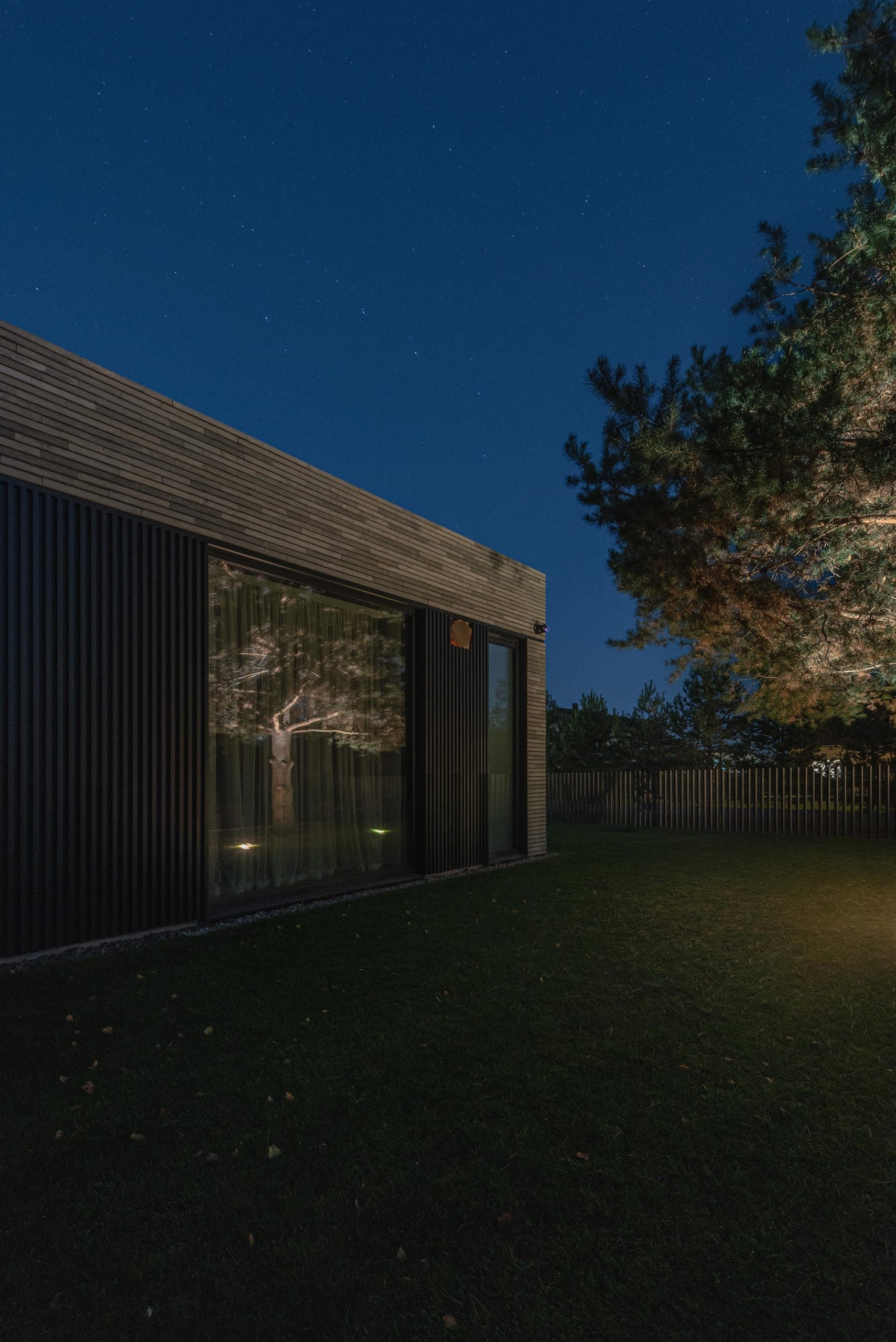 Modern Family House — full-height glazing in the dark timber elevation, a pine lit beyond
