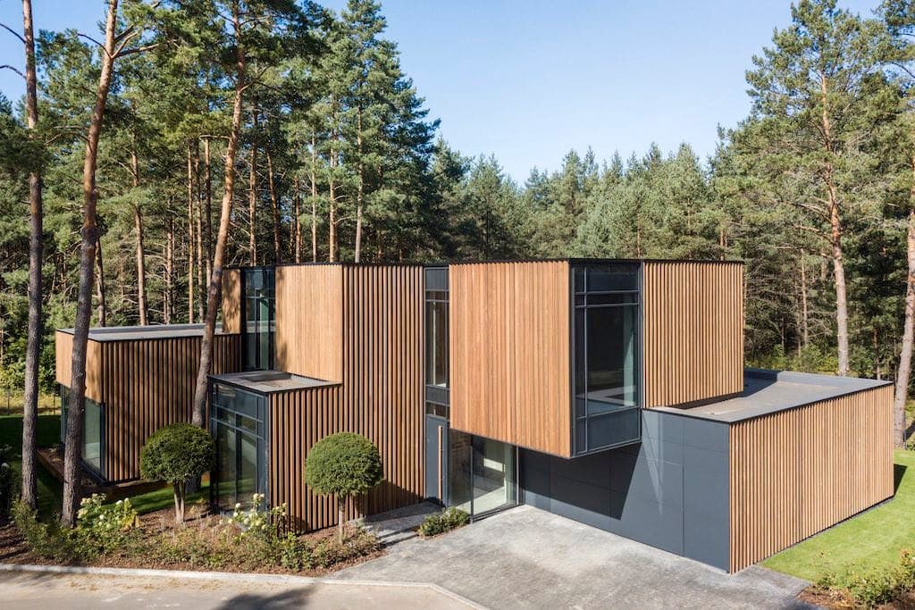 ZEN House — in sunlight, timber volumes shifting in and out of the pine forest