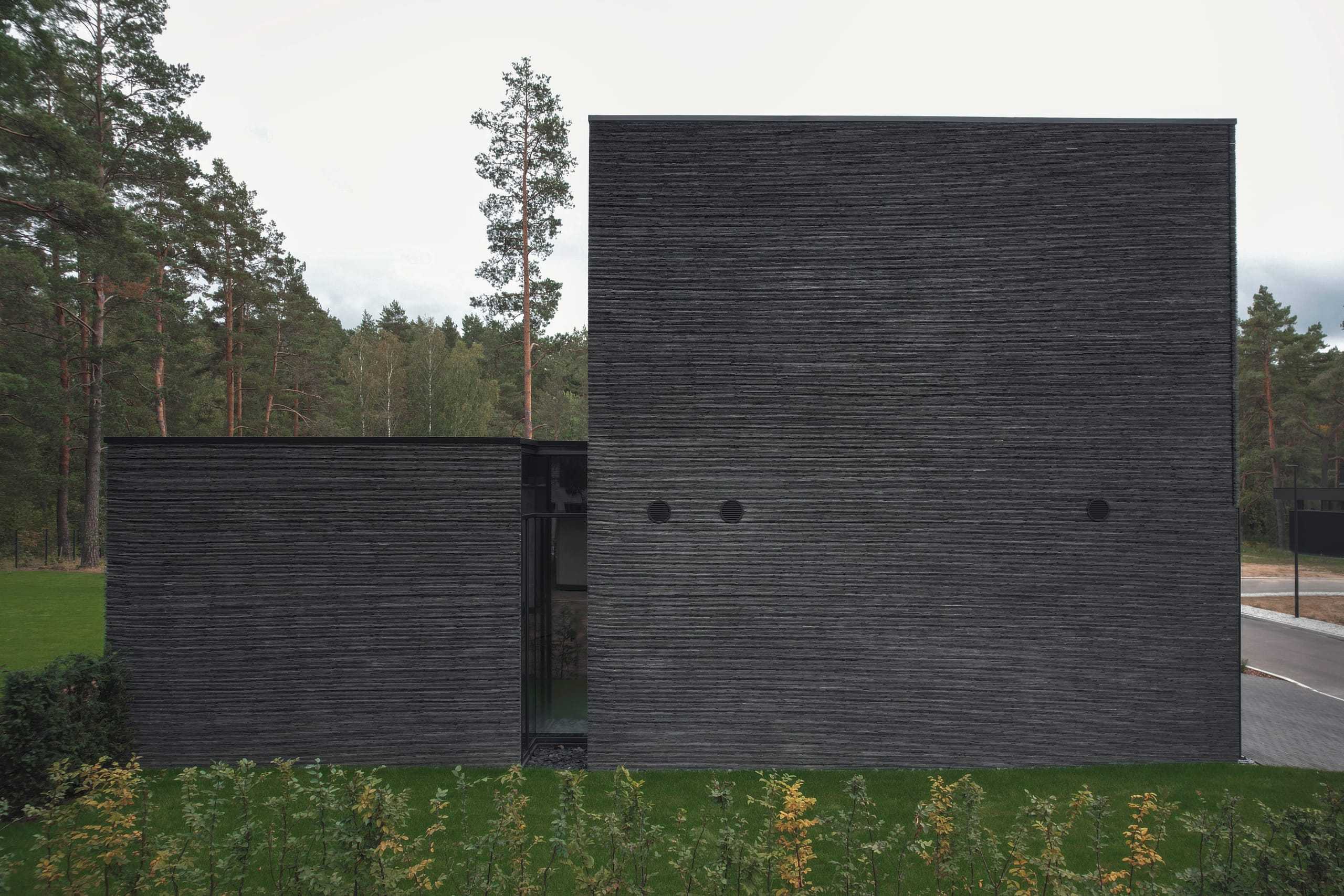 IN JAN House — blank dark stone gable rising above a meadow at the forest edge
