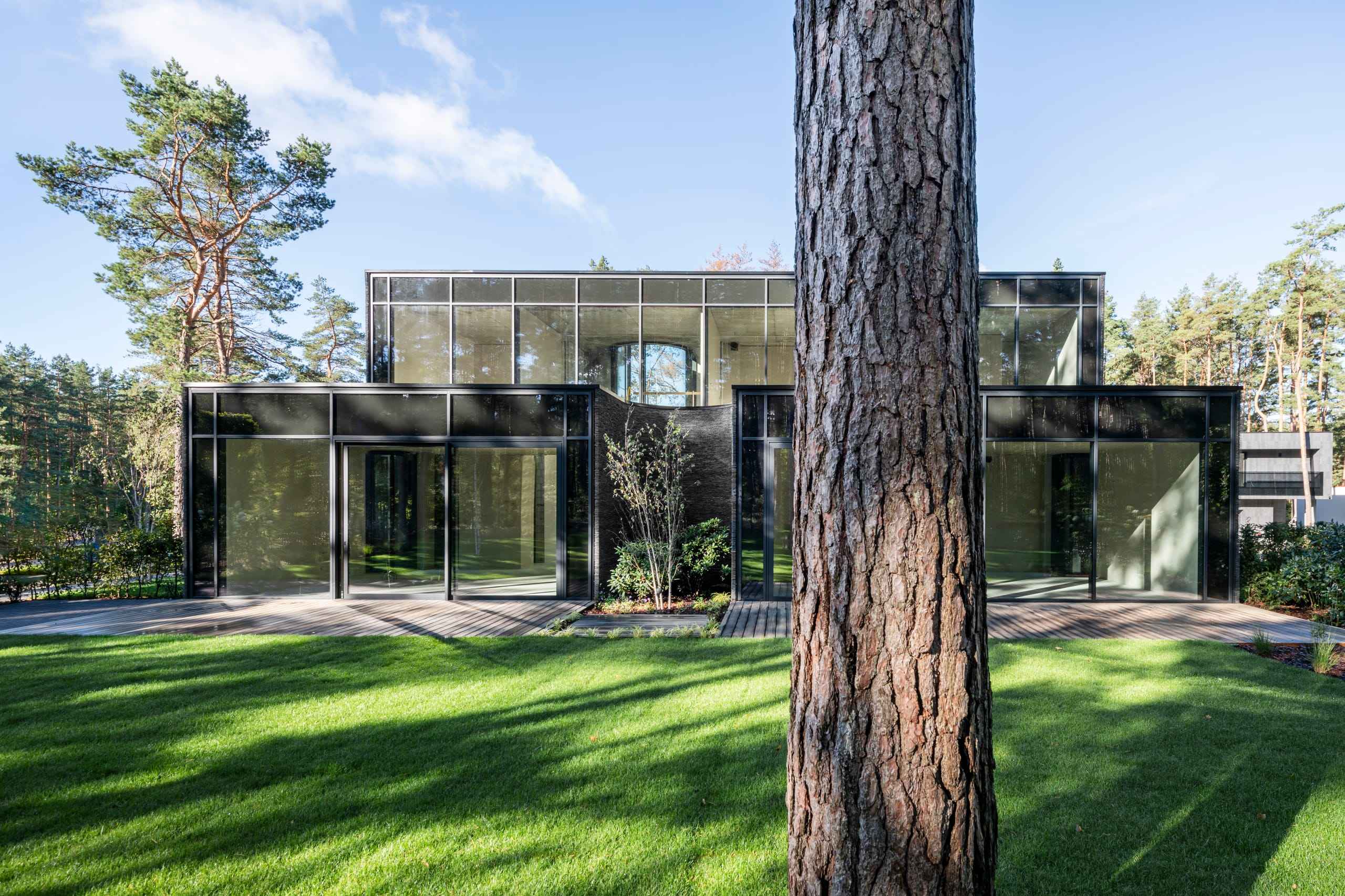 IN JAN House — glazed garden elevation seen past the trunk of a pine