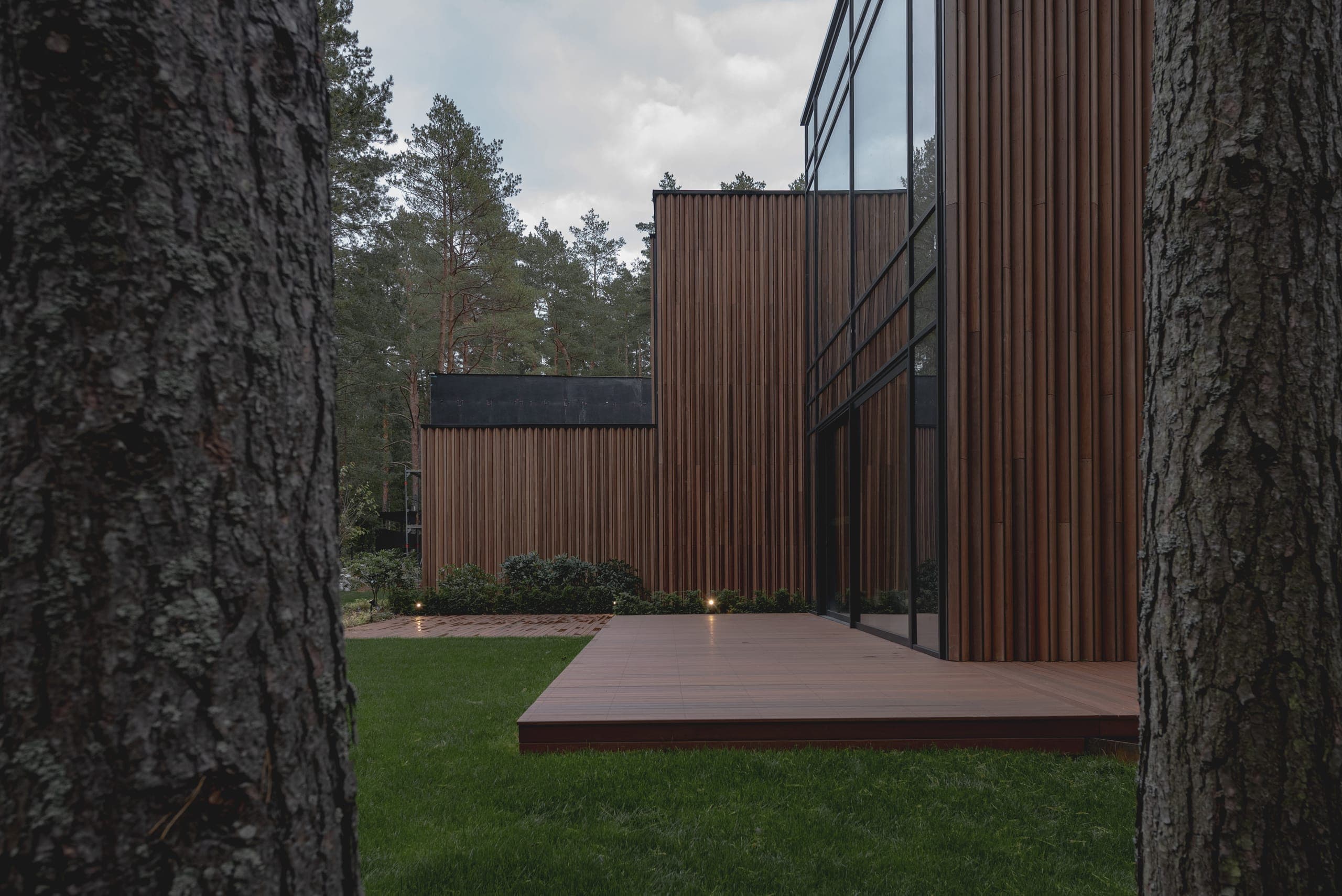 ZEN House — timber deck seen between two pine trunks