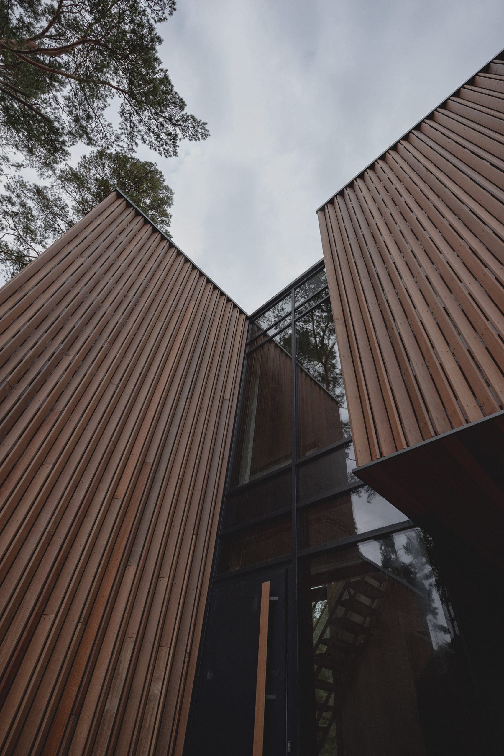 ZEN House — looking up between two timber volumes to the glazed slot that joins them